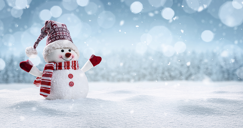 Frohe Festtage und einen guten Rutsch ins neue Jahr!